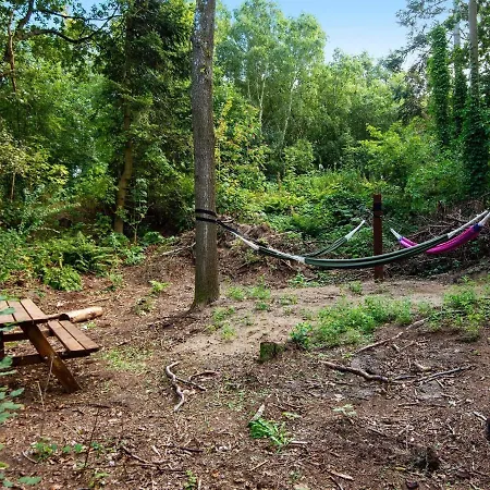 8 Person In Ringk Bing 4*
